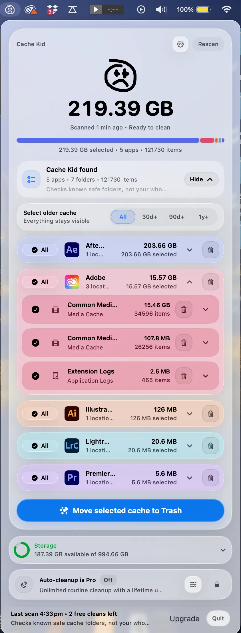 Cache Kid scan results showing Adobe cache sizes