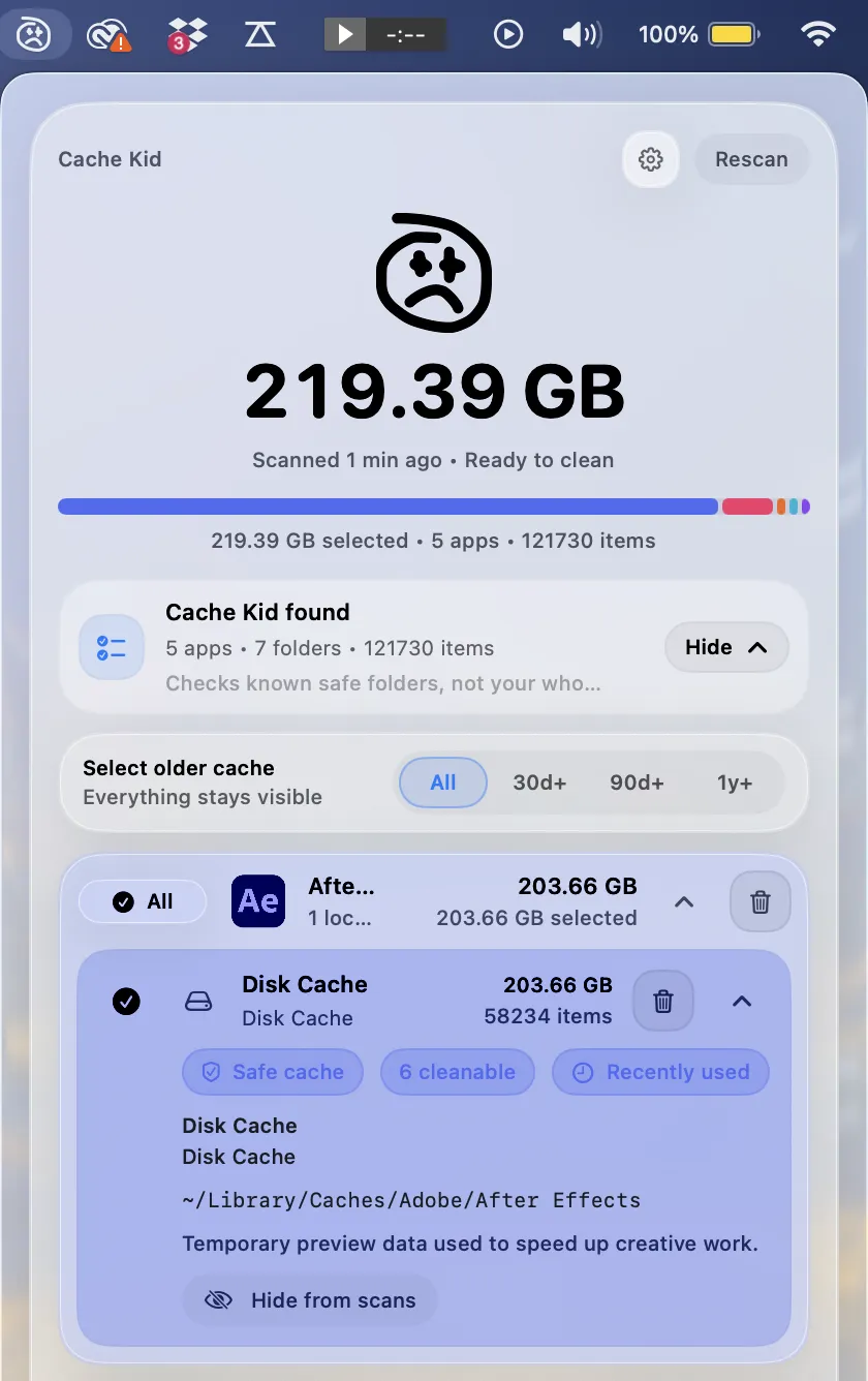 Cache Kid showing After Effects disk cache path and size